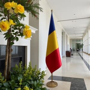 drapeau Roumanie pour bureau