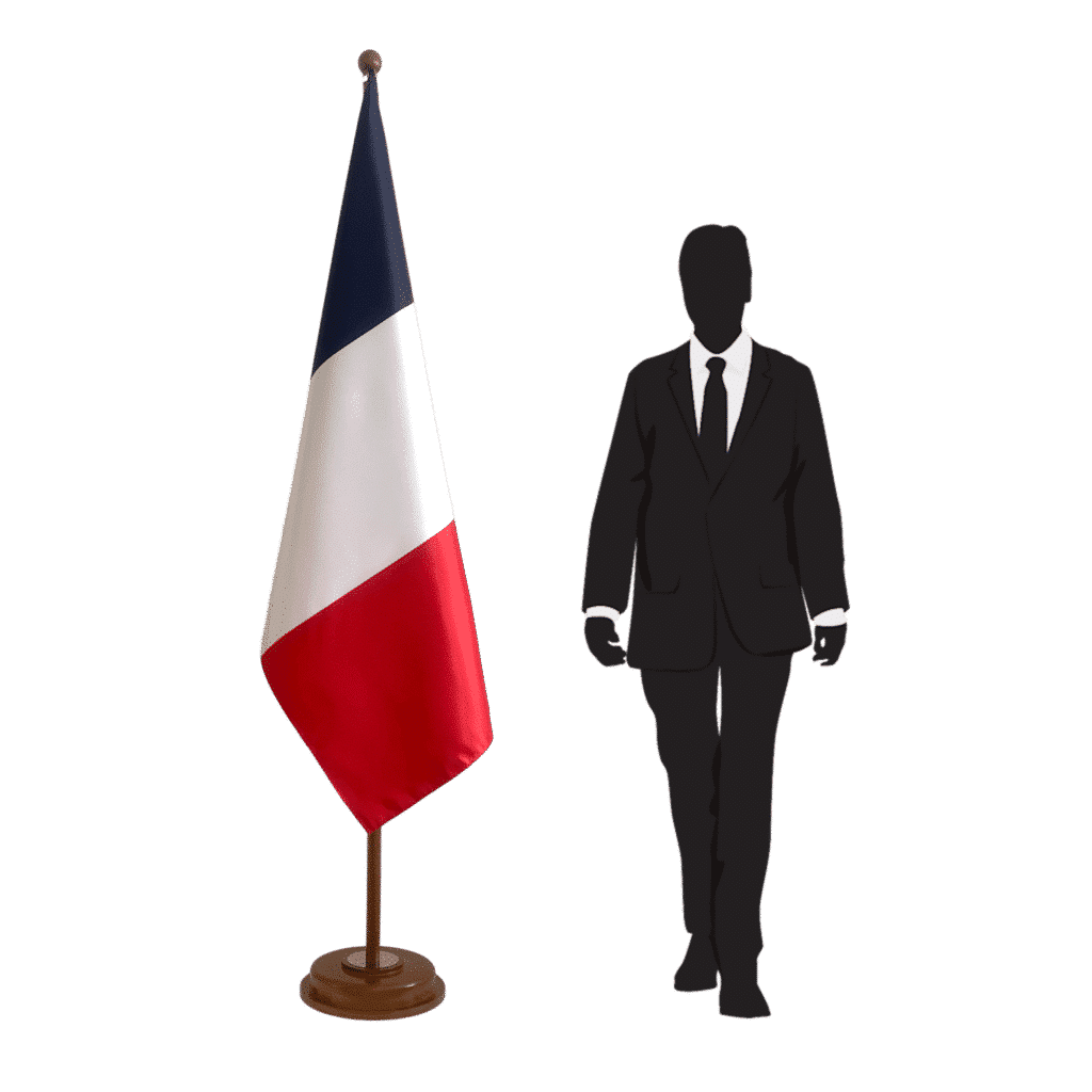 base della bandiera della francia